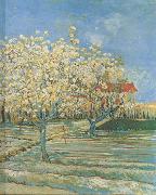Vincent Van Gogh Orchard in Blossom (nn04) oil painting on canvas